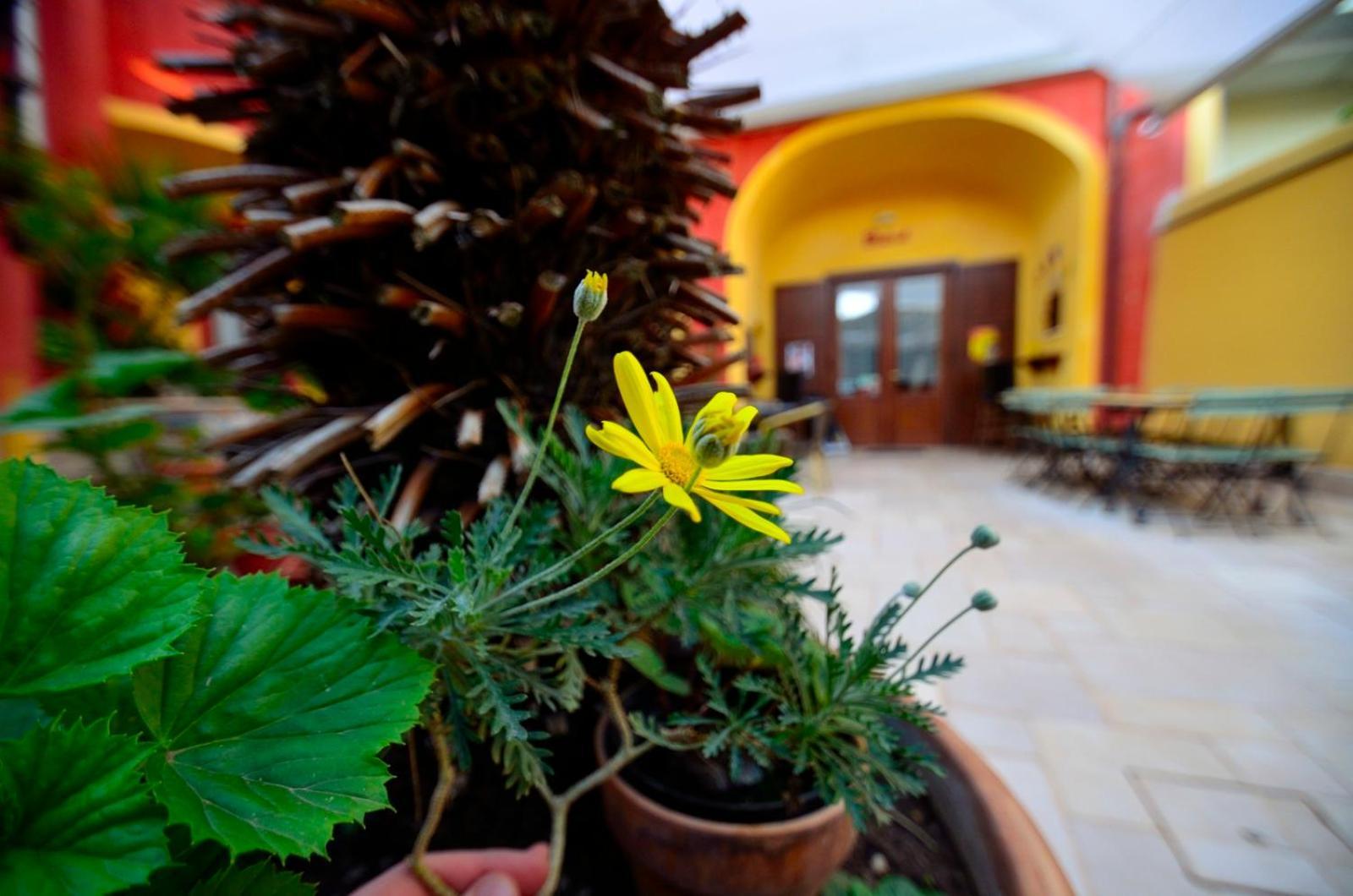 Manouche Osteria B&B San Leucio Exteriör bild