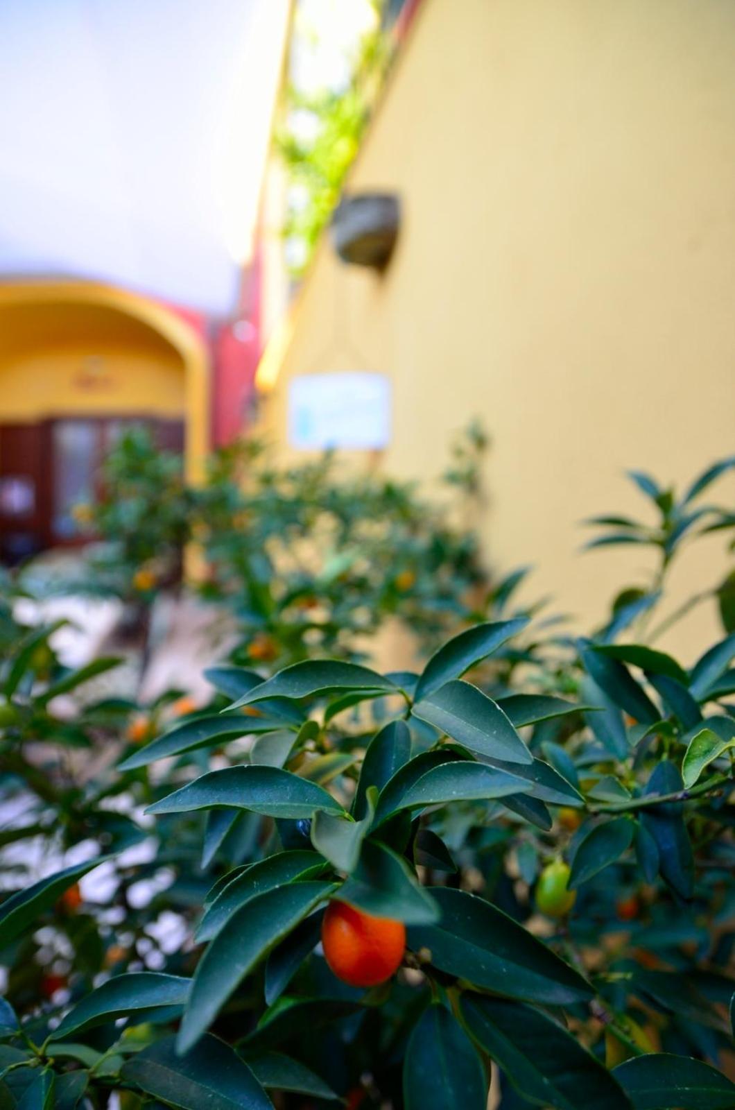 Manouche Osteria B&B San Leucio Exteriör bild